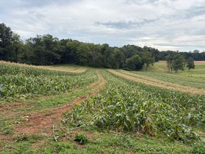 IMG_2875